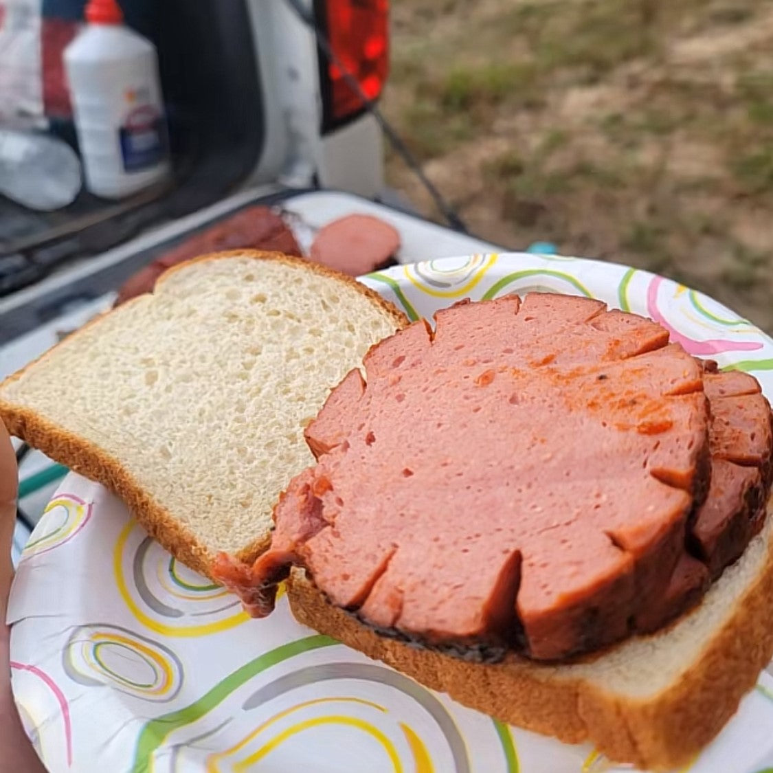 Bright Leaf Stick Bologna | Carolina Packers Inc - Bright Leaf Hotdogs