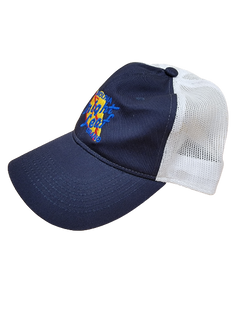 Bright Leaf Hats: Dark Blue / Gray Mesh Snapback